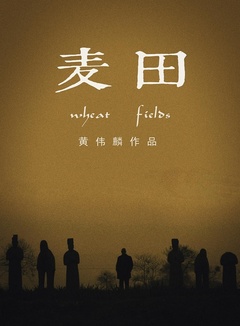 麦田