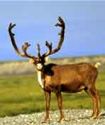 科学历程归去来兮