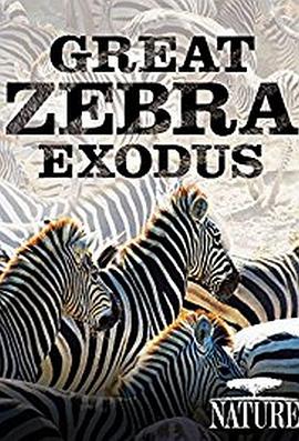 greatzebraexodus