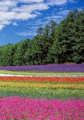 北海道众神的花园