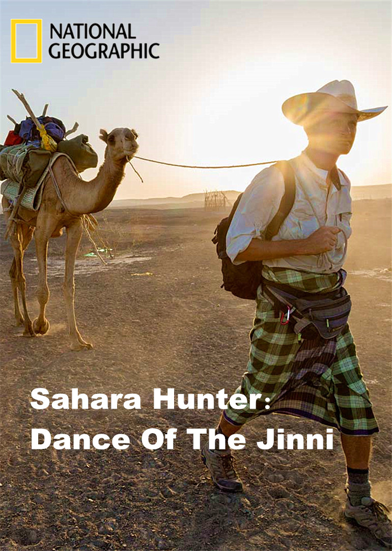 撒哈拉沙漠精灵