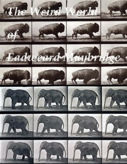 The Weird World of Eadweard Muybridge