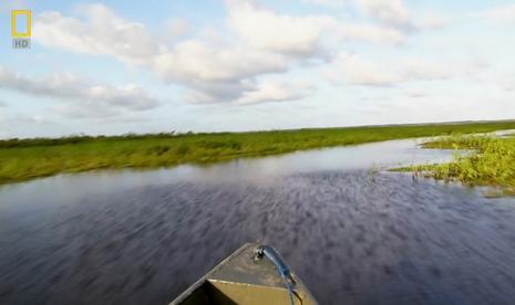 国家地理:寻找亚马逊大鱼