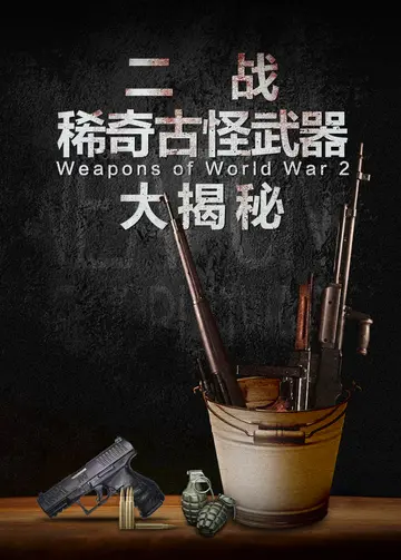 二战稀奇古怪武器大揭秘