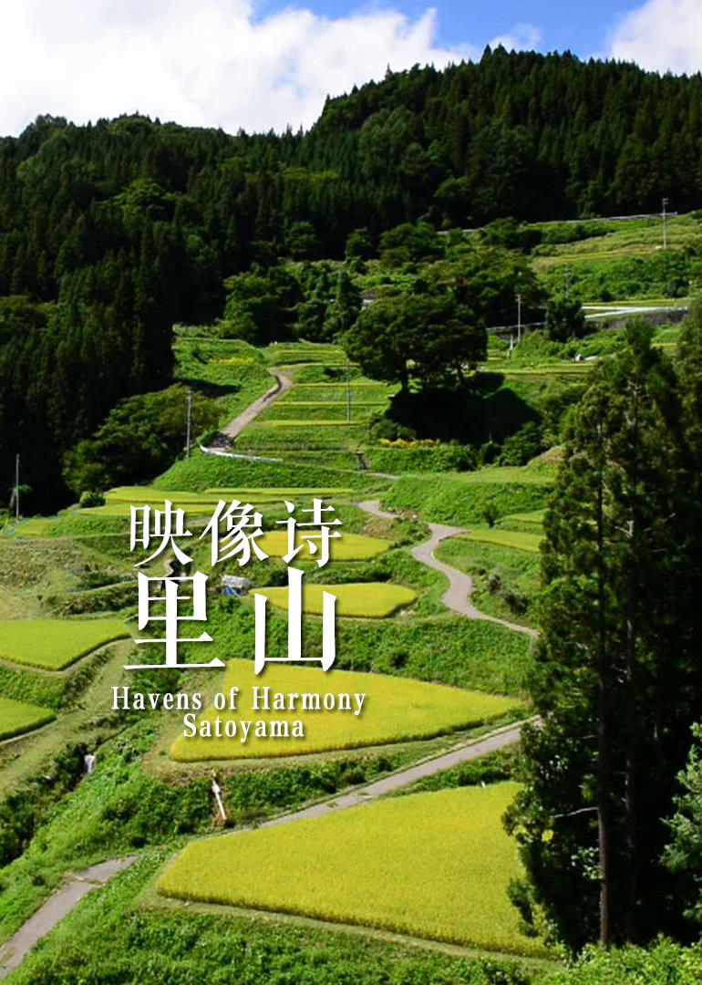 映像诗日本里山神秘水上花园